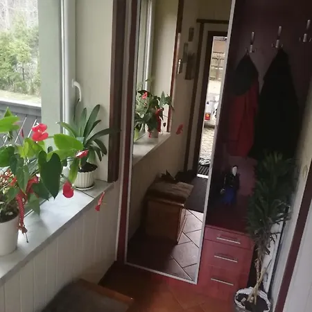 Apartment Mountainski Szczyrk