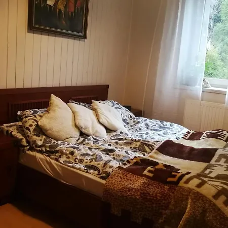 Mountainski Apartamento Szczyrk