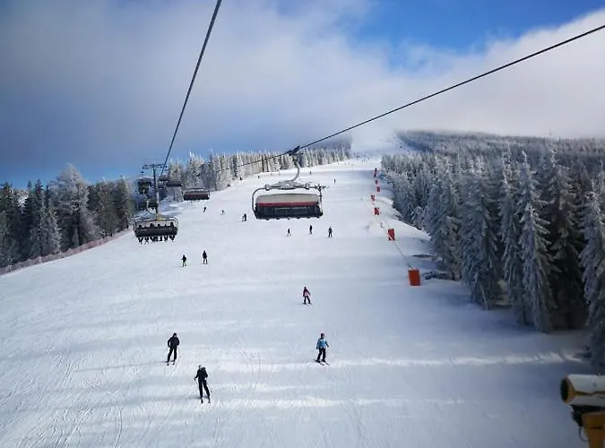 Apartmán Mountainski